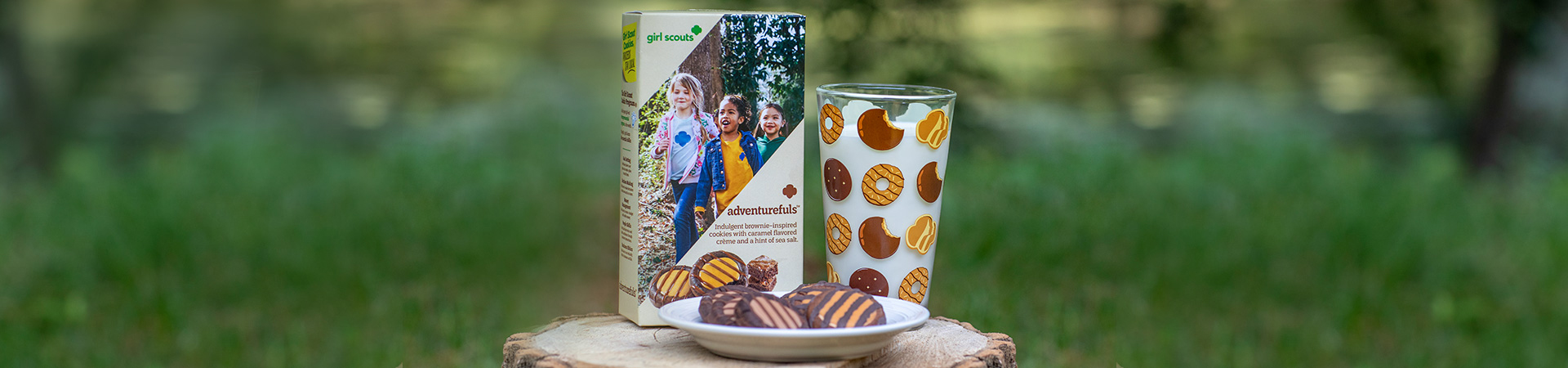 www.jerseyshoregirlscouts.org