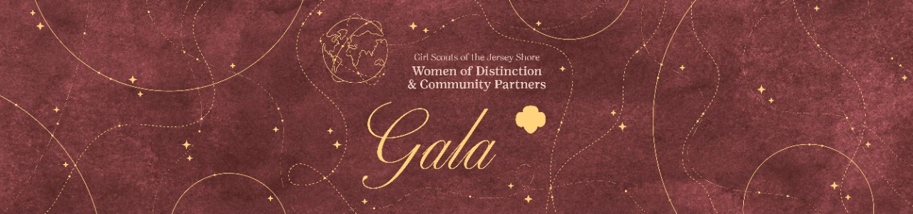 Women of Distinction & Community Partners Gala